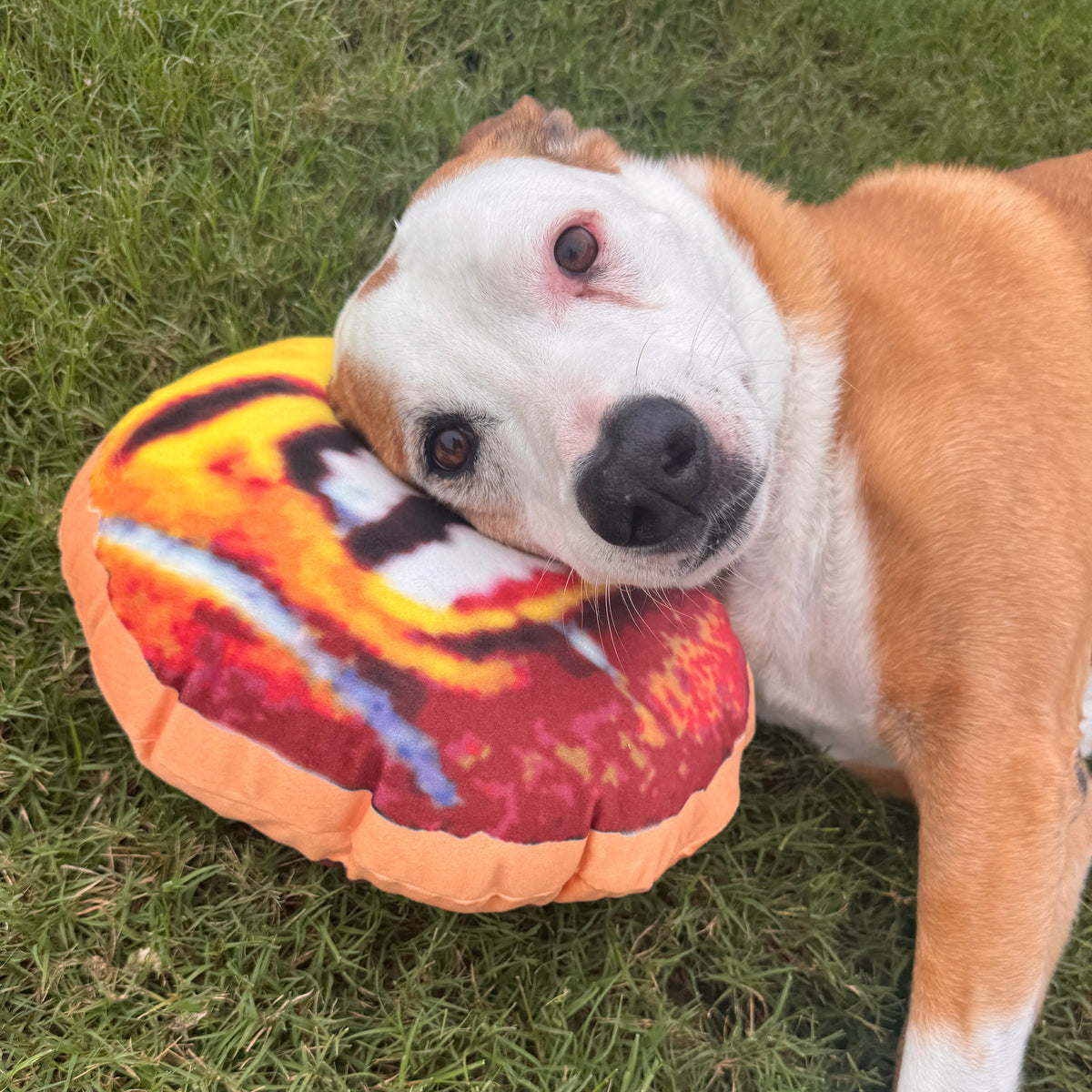 12 inch Double-Sided Mini Muga Pillow